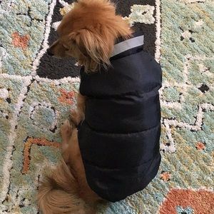 Casual Canine, size: small dogs black puffy vest